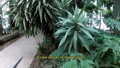 Caught on Camera: Public Pissing Adventure!